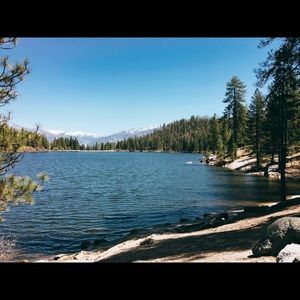 Meet your Posher, Tasha